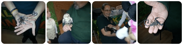 Talk to the Animals, www.talktotheanimals.org.uk, zoo keeper talks 