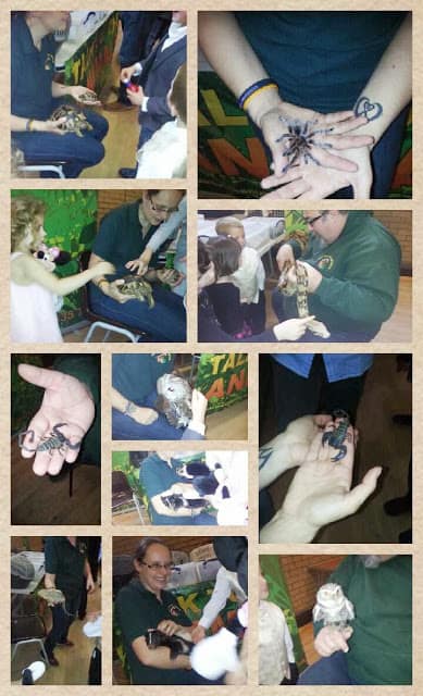 Talk to the animals, www.talktotheanimals.org.uk, zoo keeper talks