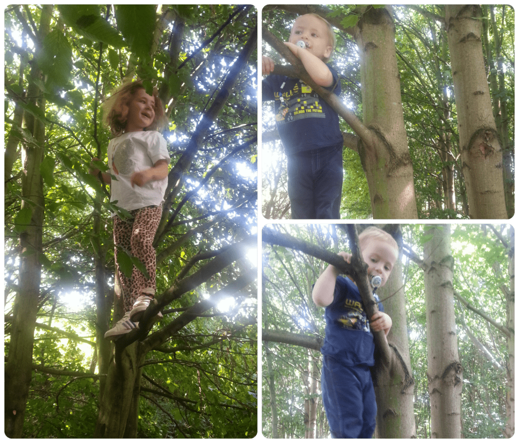 I've Outdoor Kids #CountryKids 2 my climbers