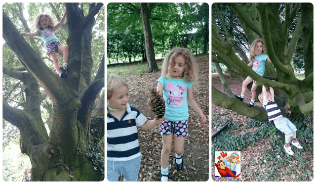 Woodland fun Entertaining Emmy, www.emmysmummy.com, countrykids, fun in the woods