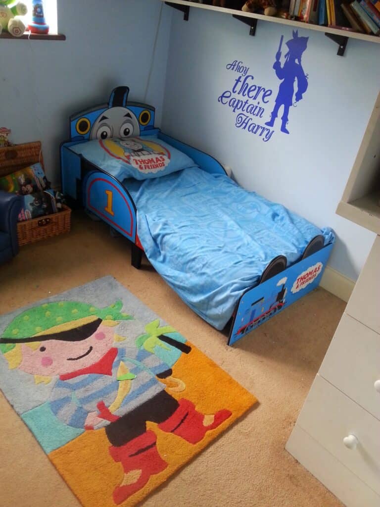 pirate rug