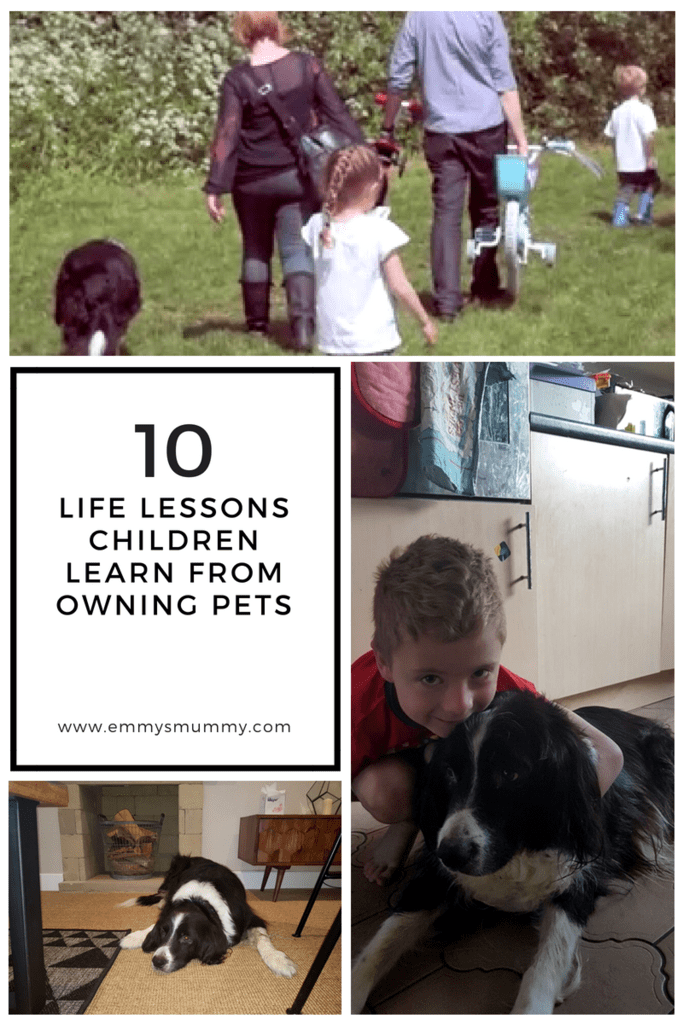 Life Lessons Children Learn From Owning Pets - Emmy's Mummy