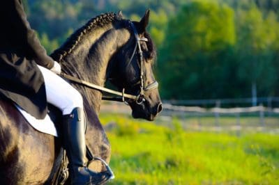 horse riding e1543499994549