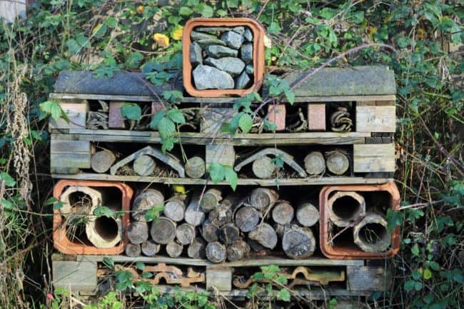 Benefits of gardening with kids 3 bug hotel e1555517723949