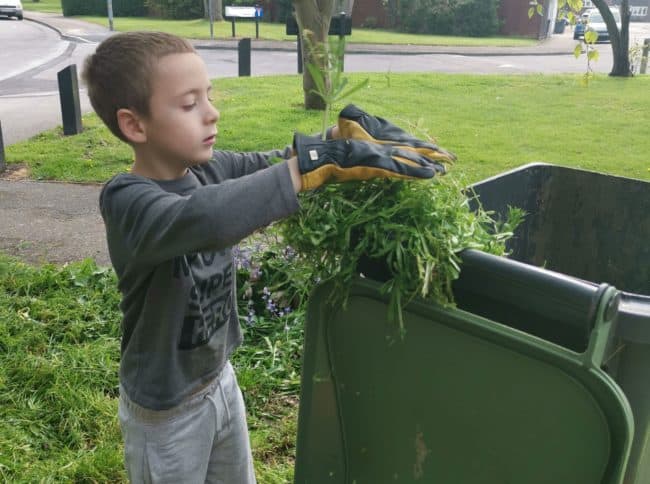 Benefits of gardening with kids 8 gold leaf1 e1555516819197
