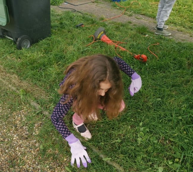 Benefits of gardening with kids 9 gold leaf2 e1555516960214