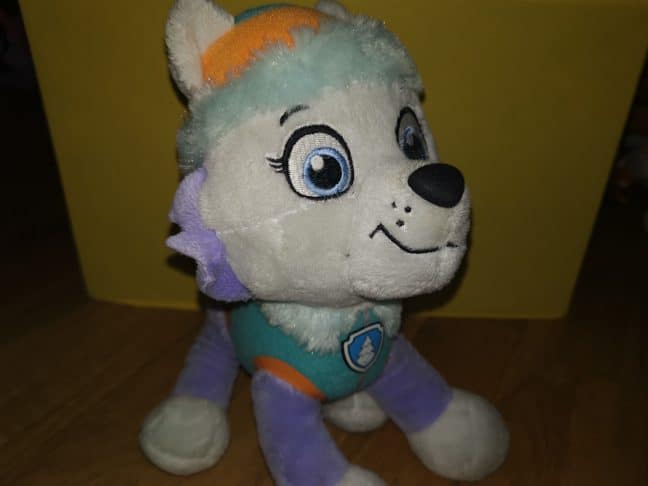 Nominate a little hero for the PAW Patrol Little Heroes Awards 2019! 7 everest e1560937153457