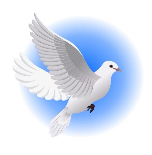 dove e1593770165190