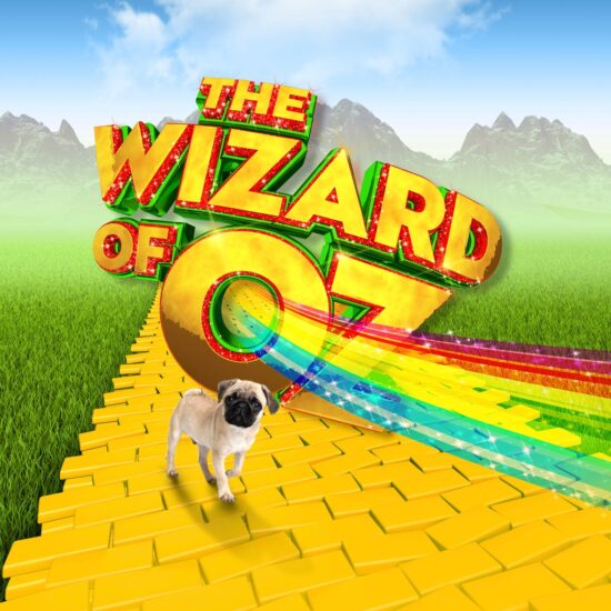 The Wizard of Oz Tour Review