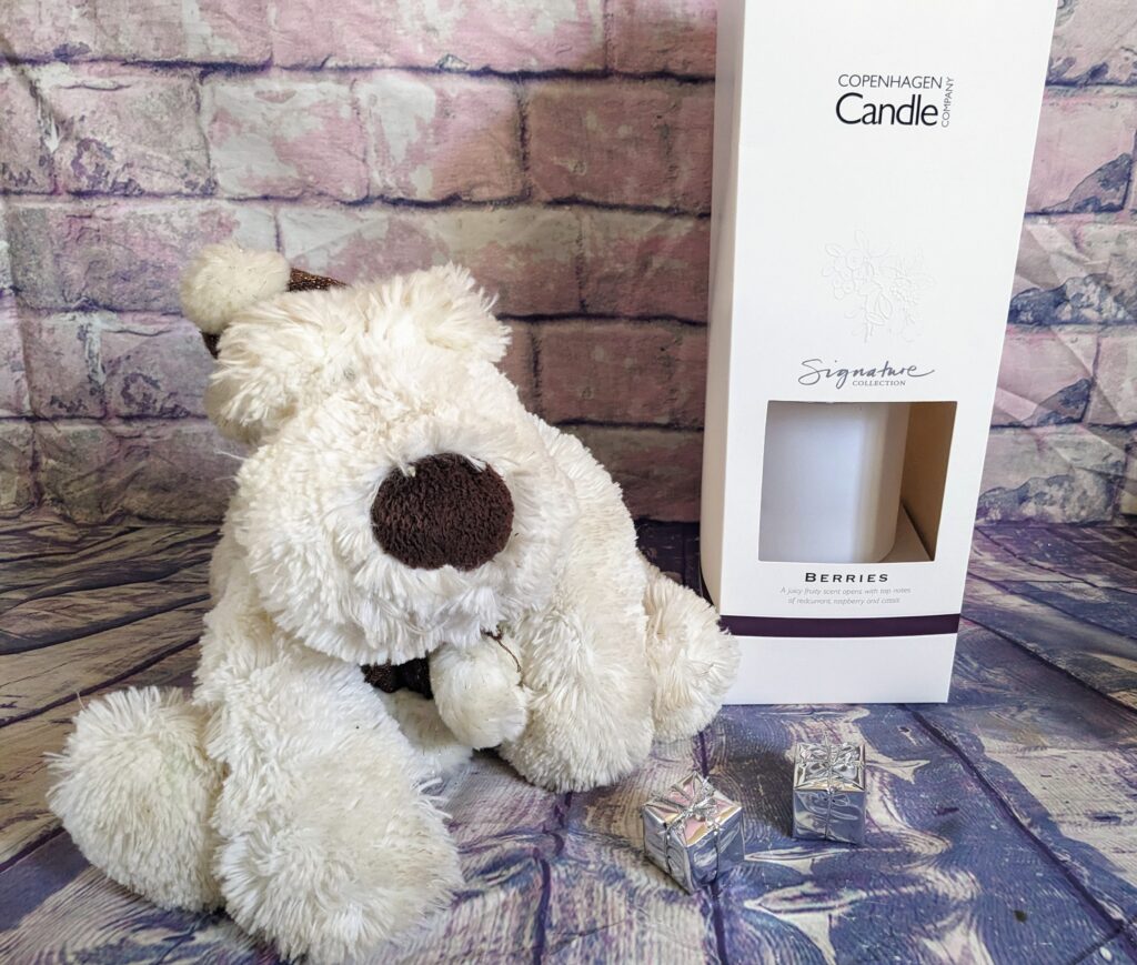 Christmas Gift Guide for Adults 2023: Gifts which will be greatly received 7 wp 1700394311742