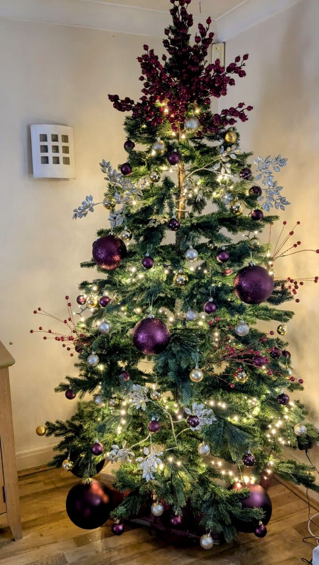 Decorating for Christmas with WeRChristmas
