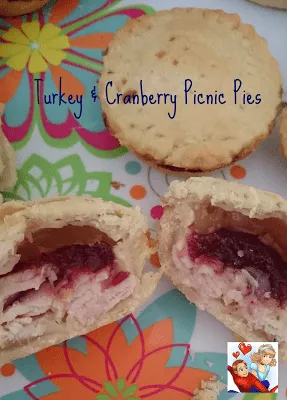 TurkeyandCranberrypicnicpies
