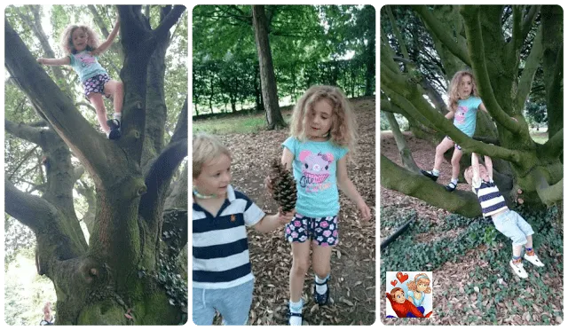 Funfair adventures and the curse of car troubles (again) 1 woodlandfun