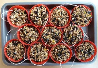 Homemade Bird Food What to Provide and What to Avoid 2 Homemade bird food