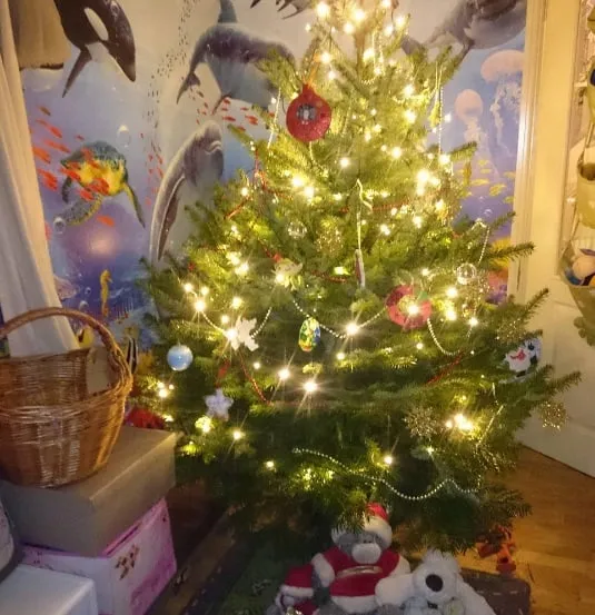 Where on earth do I put the Christmas tree? 2 playroom2