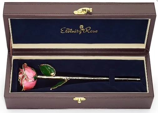 Eternity Rose
