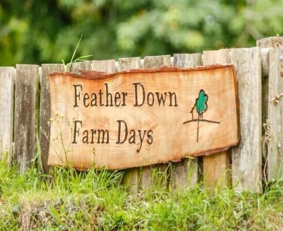 Glamping at Ilfracombe Farm Review 3 featherdown logo
