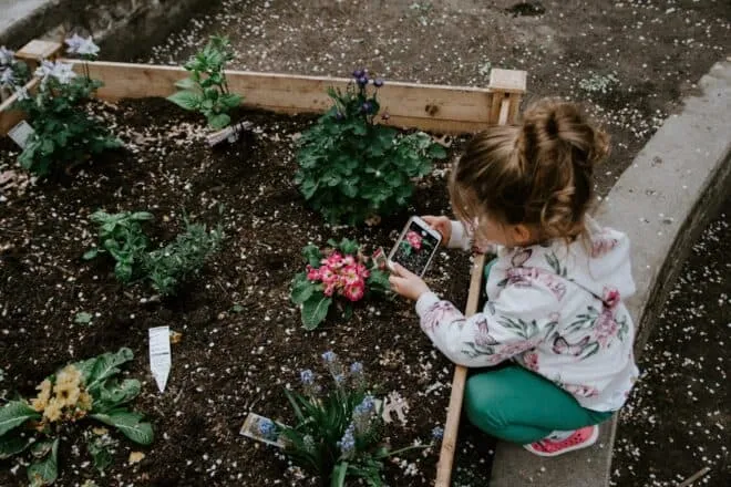 Fun Things to Plant With Kids 1 planting with kids scaled e1660928232319