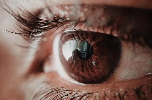 Taking Better Care Of Your Eyesight 1 Taking Better Care Of Your Eyesight - close up picture of eye