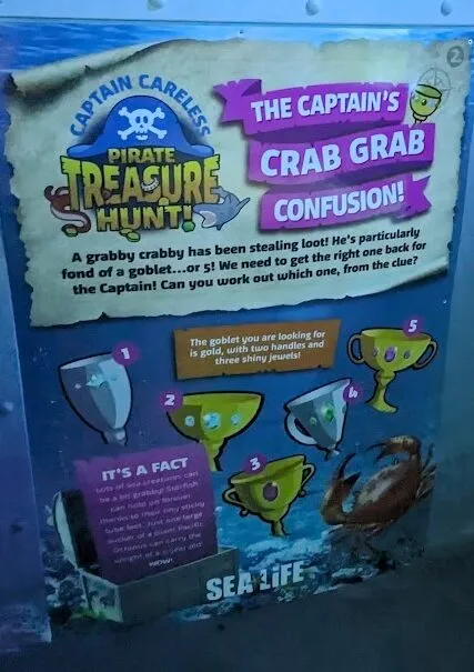 treasure hunt sealife e1693422307395