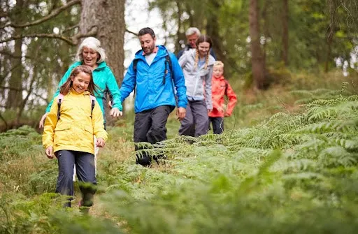 What can you get up to on a cost effective UK holiday 1 family walking in the woods
