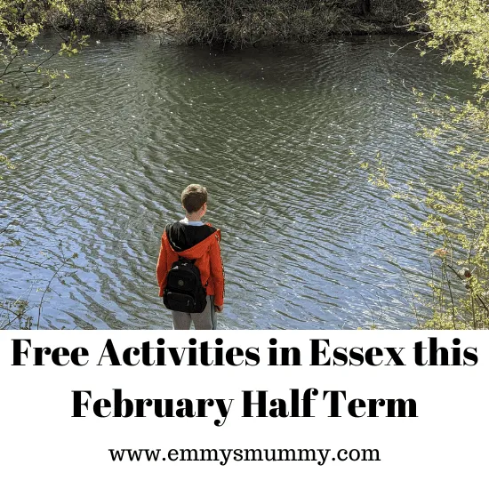 Exploring Free Activities in Essex this February Half Term