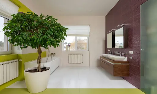 Unlocking the benefits of double glazing: what you should know 2 double glazed windows 2