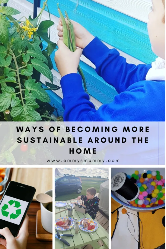 Budget Friendly Ways of Becoming More Sustainable Around the Home pinterest