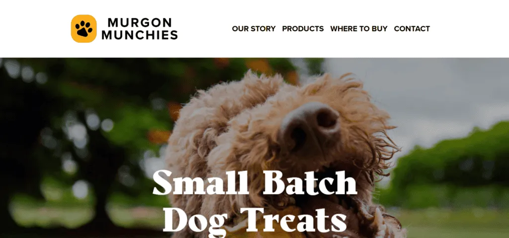 dog treats